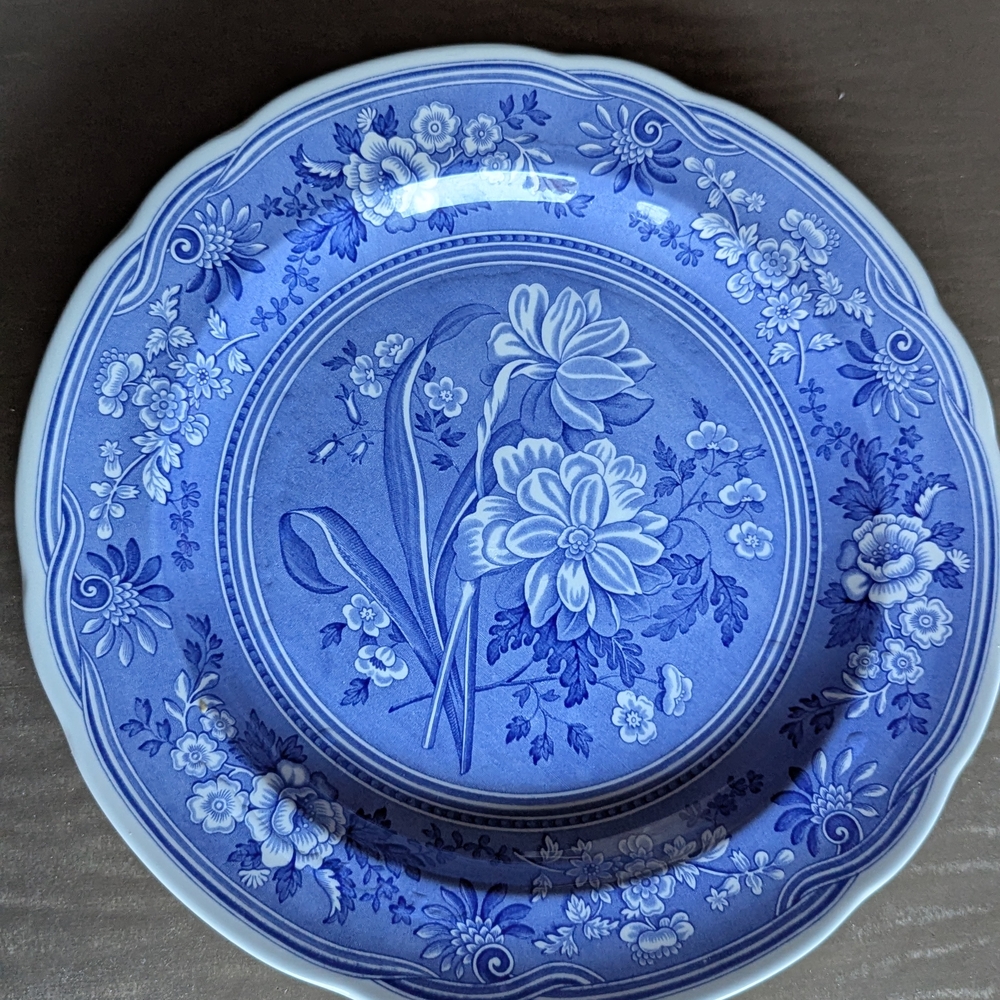 Spode Blue Room China Collection "Botanical" dinner plate with flutes edges.NWOT